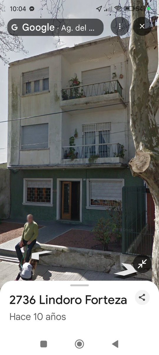 ANIMALISTAS.UY tweet media