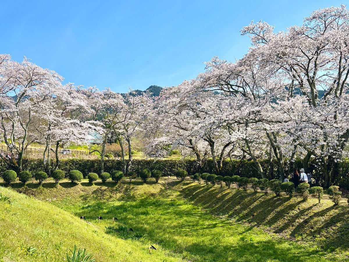 野火@奈良がすき tweet media