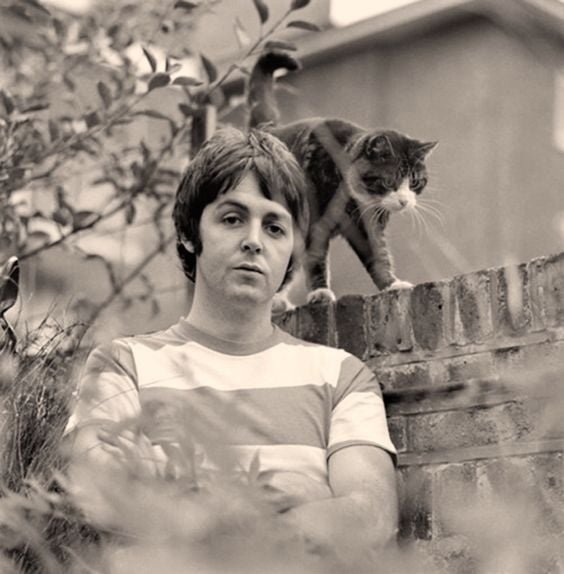 Dečk⭕️🅱️ tweet media