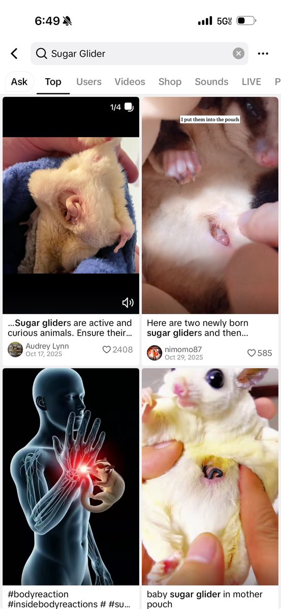 Carlos the Guaiki tweet media