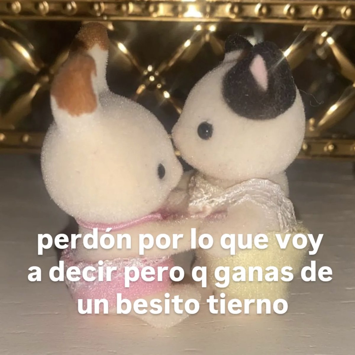 Mundo de Bigotes (@mundodebigotes) on Twitter photo 