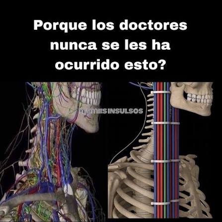 Mendieta tweet media