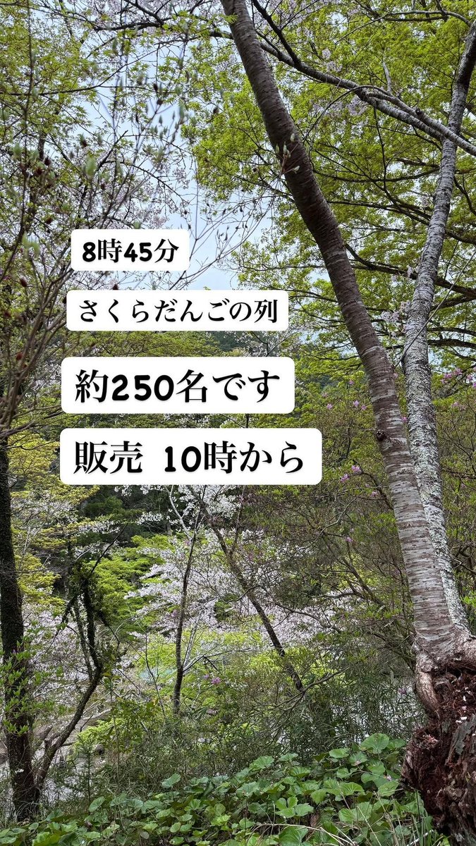 法多山 tweet media