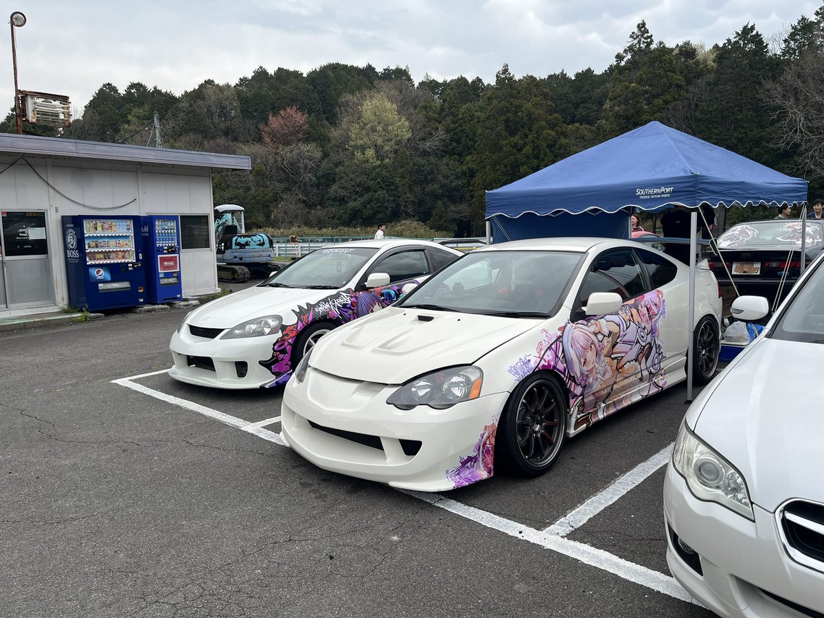 しーた🐰🍭 tweet media