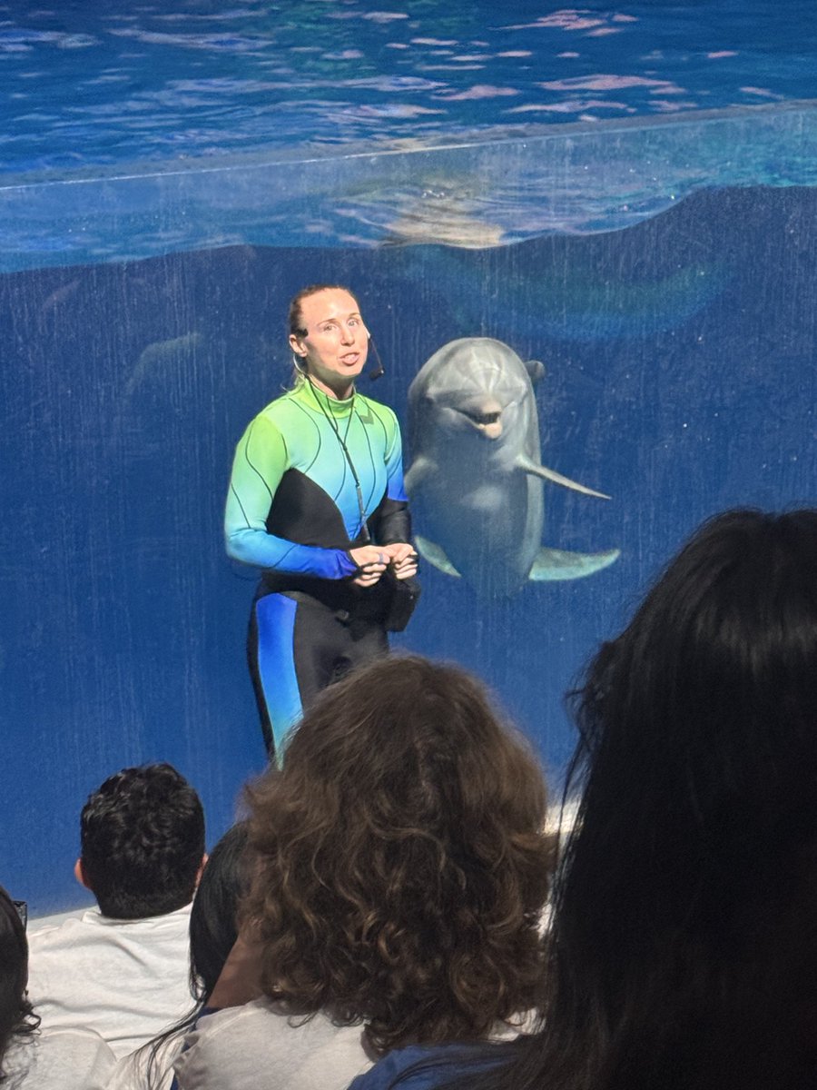 AAMrFlowers's tweet image. School softball field to GA aquarium

Scholars explored biotic &amp;amp; abiotic factors across ecosystems connecting real-world science from the softball field to the aquarium. @amanda_hanie @GeorgiaAquarium 

#STEM #Ecosystems #HandsOnLearning
