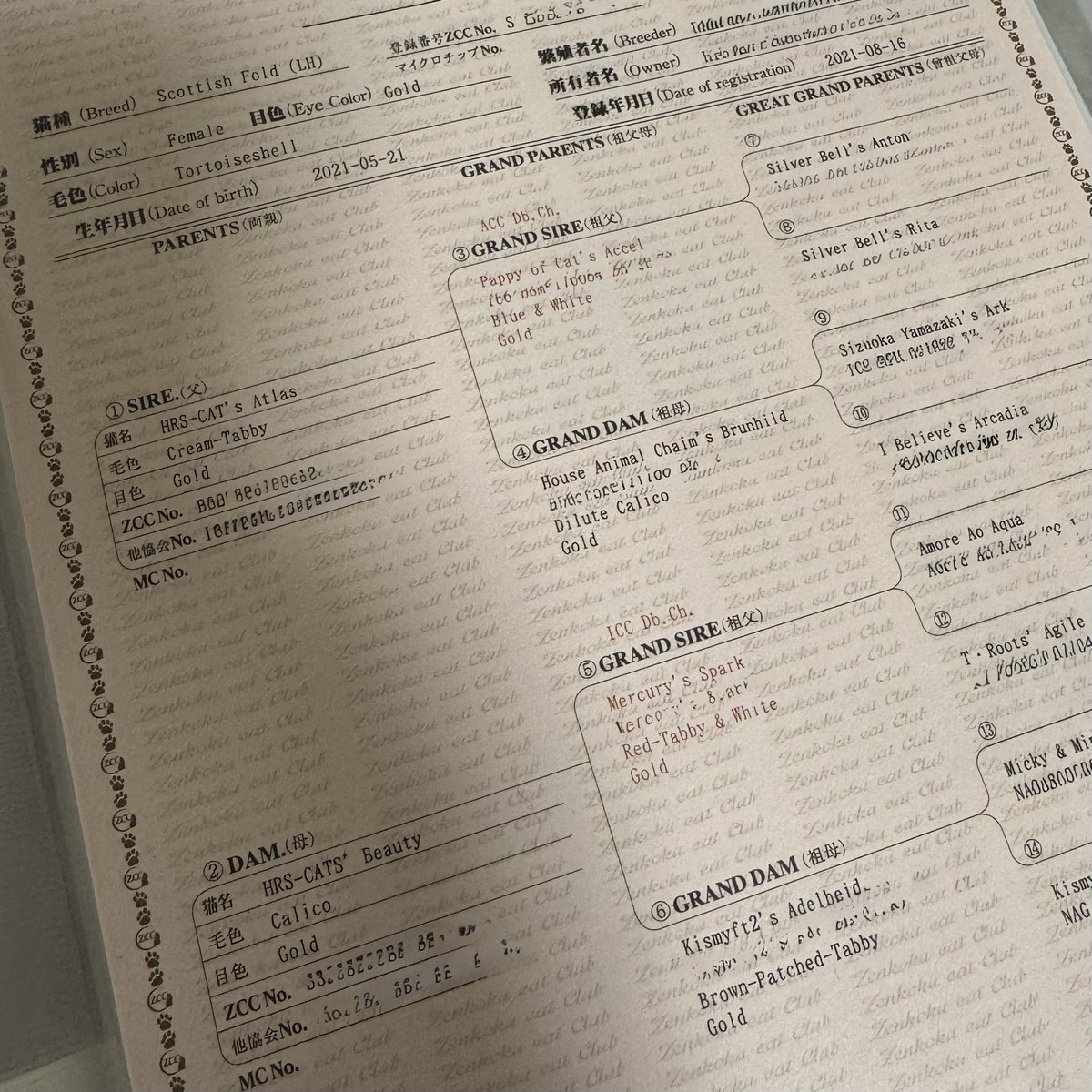 Snow Monkey🐒 in Saltpeak Bumps Base tweet media