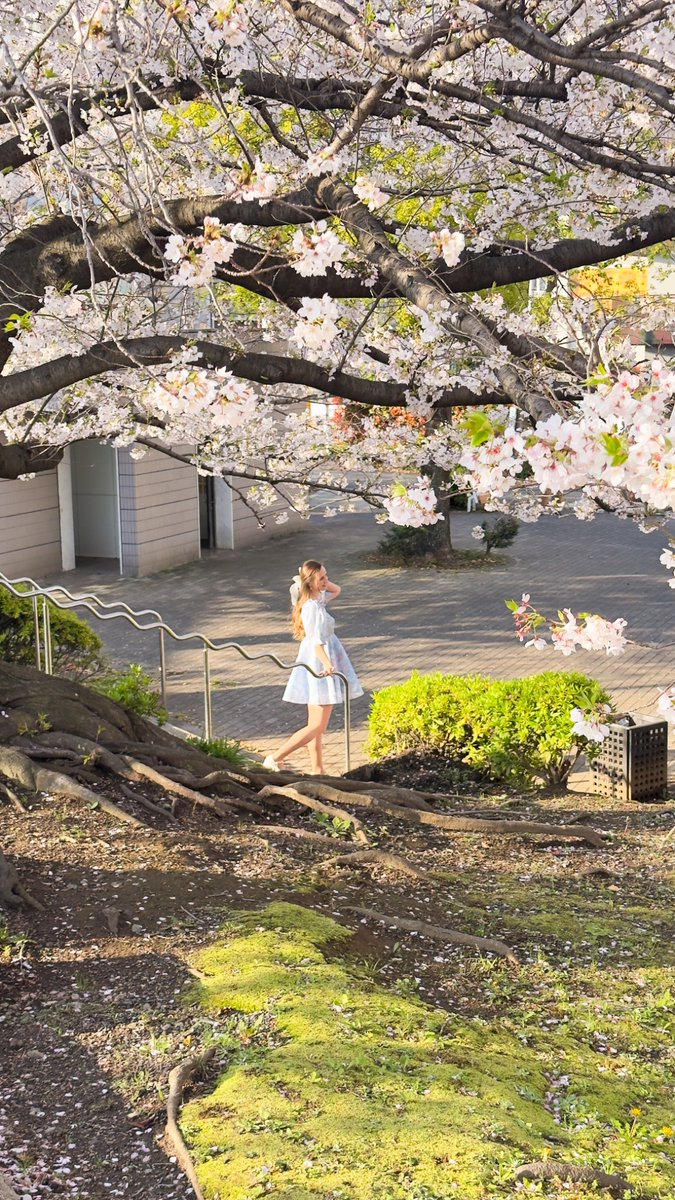 Misskyliee 🌻 tweet media