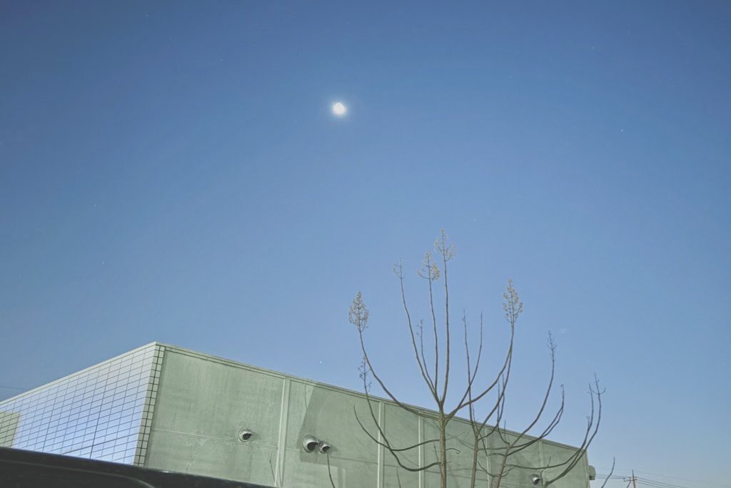 696_ililil's tweet image. #StructuredSkyframe