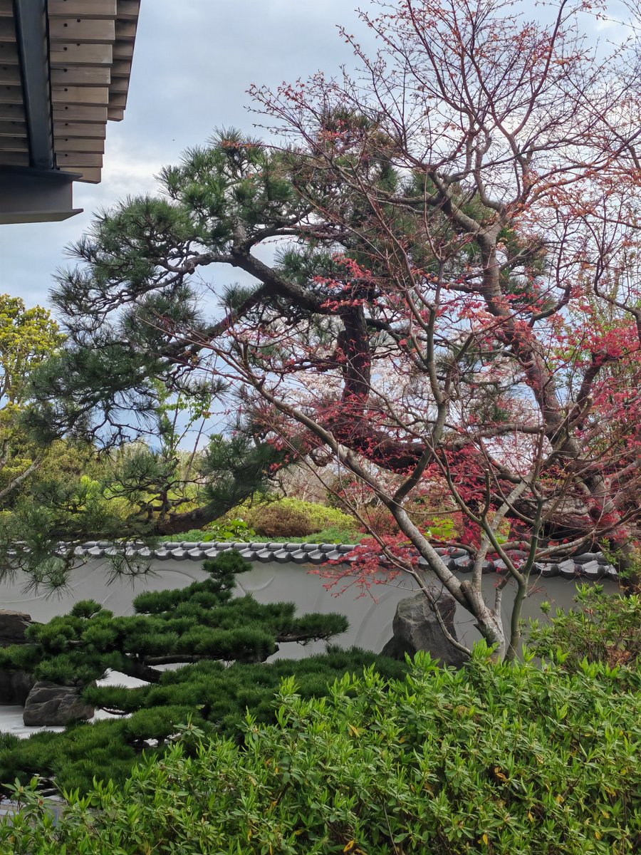 shimu/Aなるんるん♪ tweet media