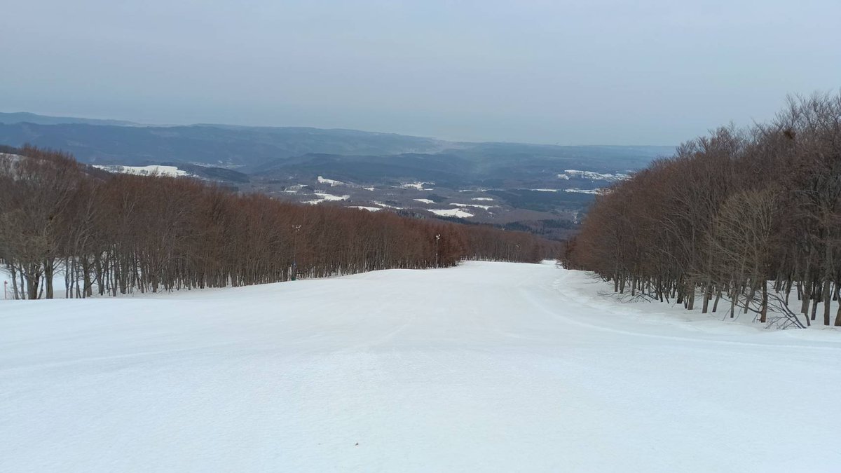 ◤￣￣￣￣￣
4月4日 （土）
＿＿＿＿＿◢
⌚8:00現在 
積雪:355㌢
気温:9度
運行予定👇️
【クワッド1】8:30〜16:00
【ゴンドラ】クローズ今季終了
【クワッド2】クローズ今季終了
【ダイアモンド】クローズ今季終了
10コース滑走可能です