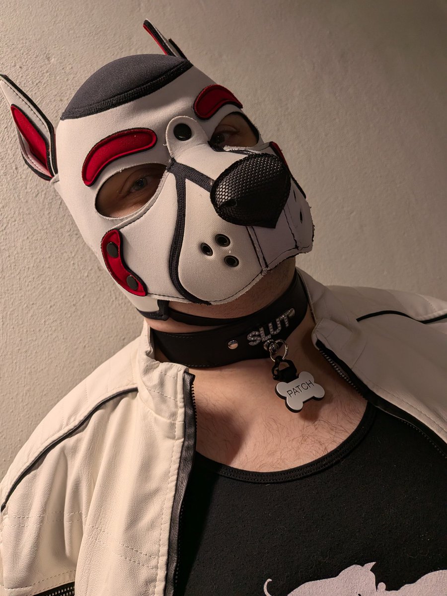 Pup Patch tweet media