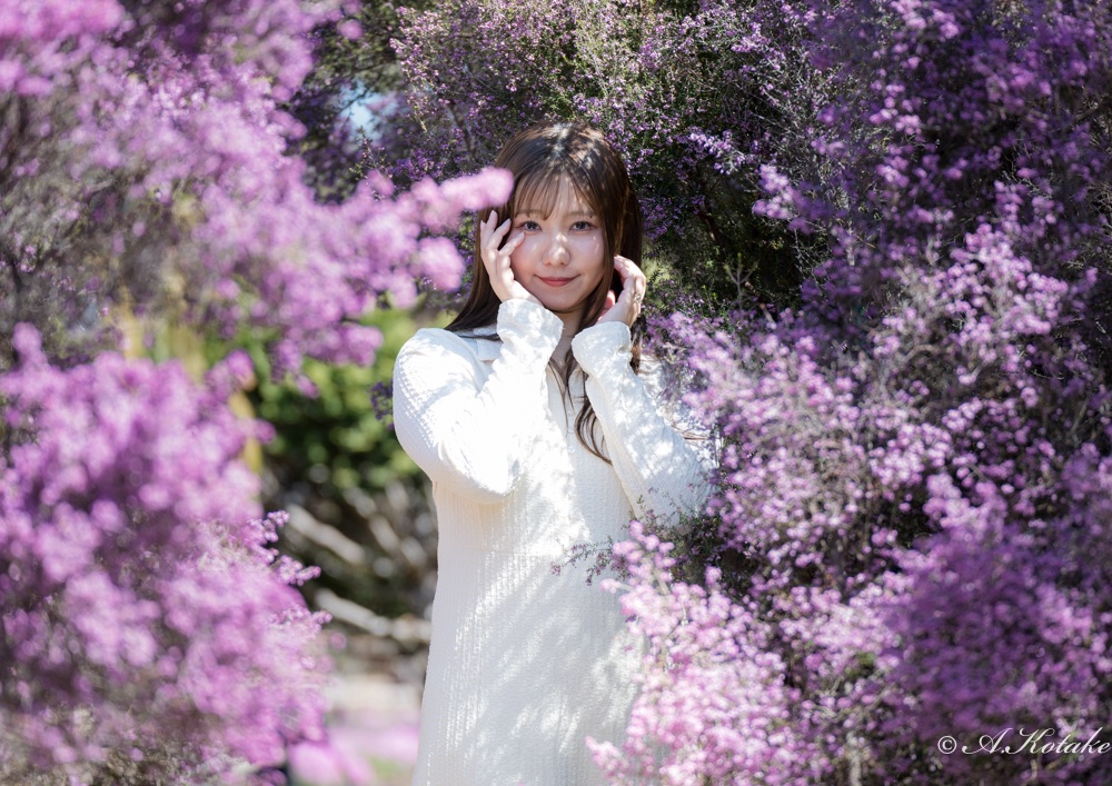 ひとりひとり　愛する人たちのために生きてゆきたいよ

「さくら」にまつわる曲を集めたプレイリストを聴き流していて偶然出会ってしまった、20年近く前の曲に、なんとも言えない味わいを感じています。自分が50代だからでしょうか😅
お気に入りの写真を添えて📷
りおな　<a href="/ron_toriniku/">りおな</a> 

#人生の扉