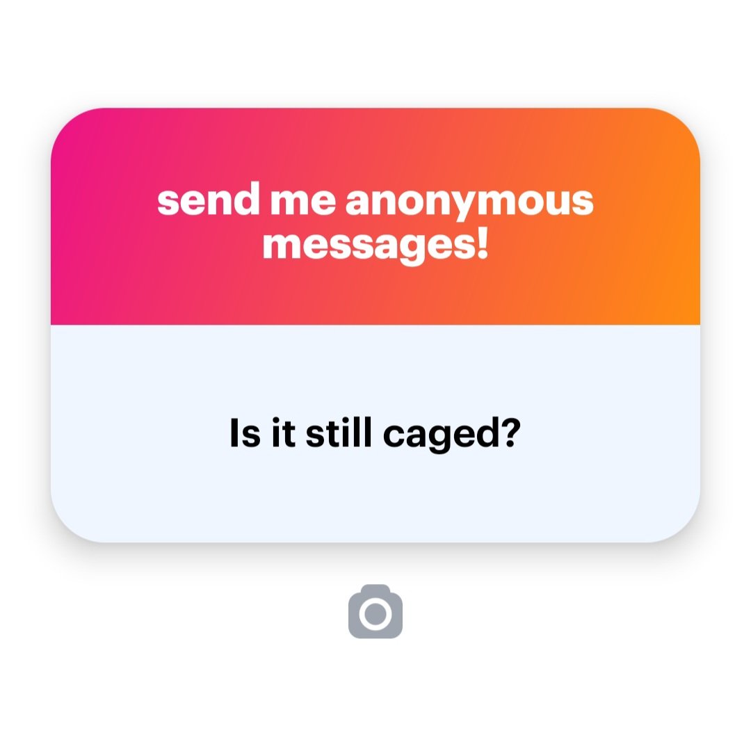 raspberrymuffin 💕 tweet media