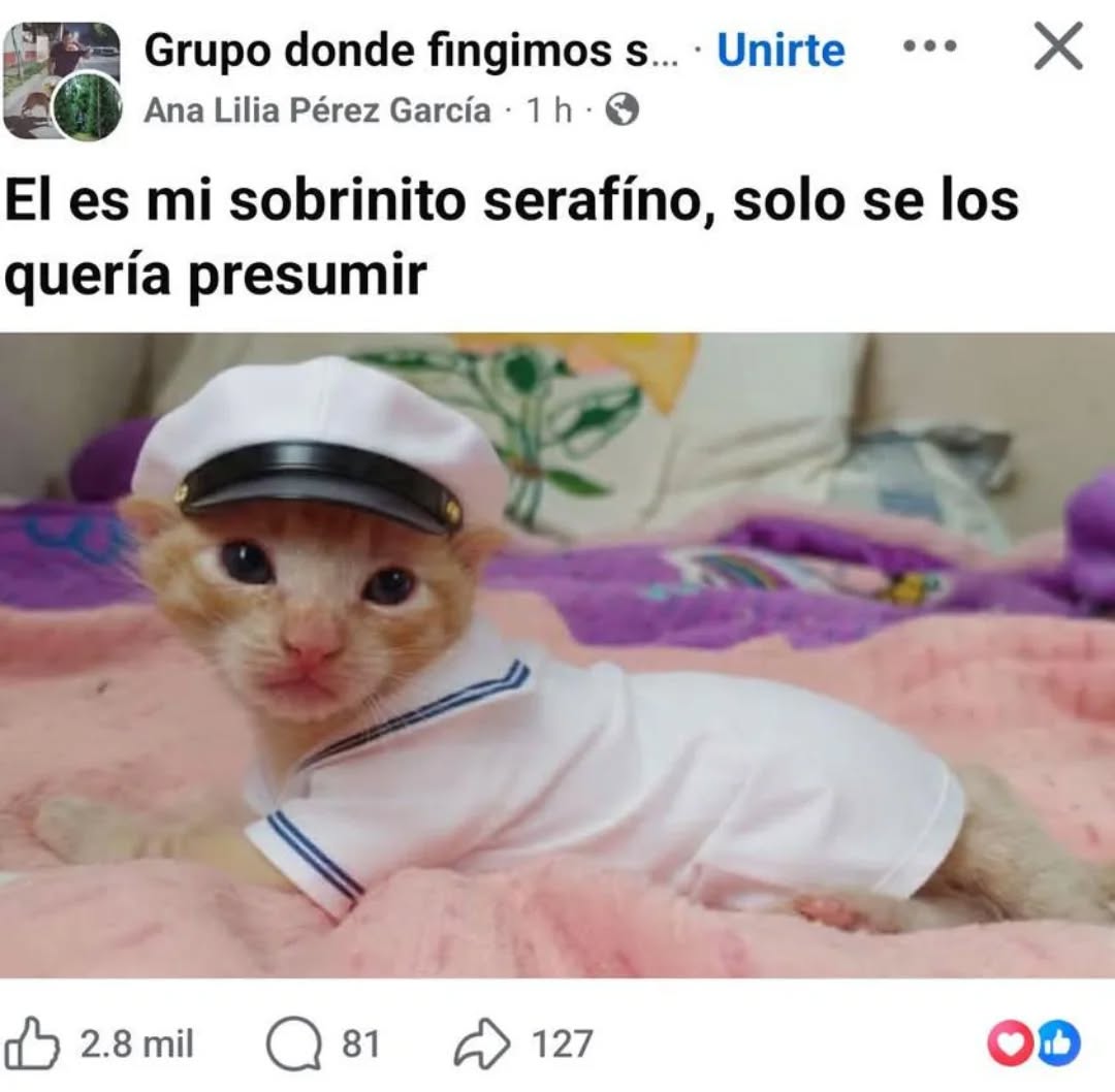 jugodenaranja9 tweet media