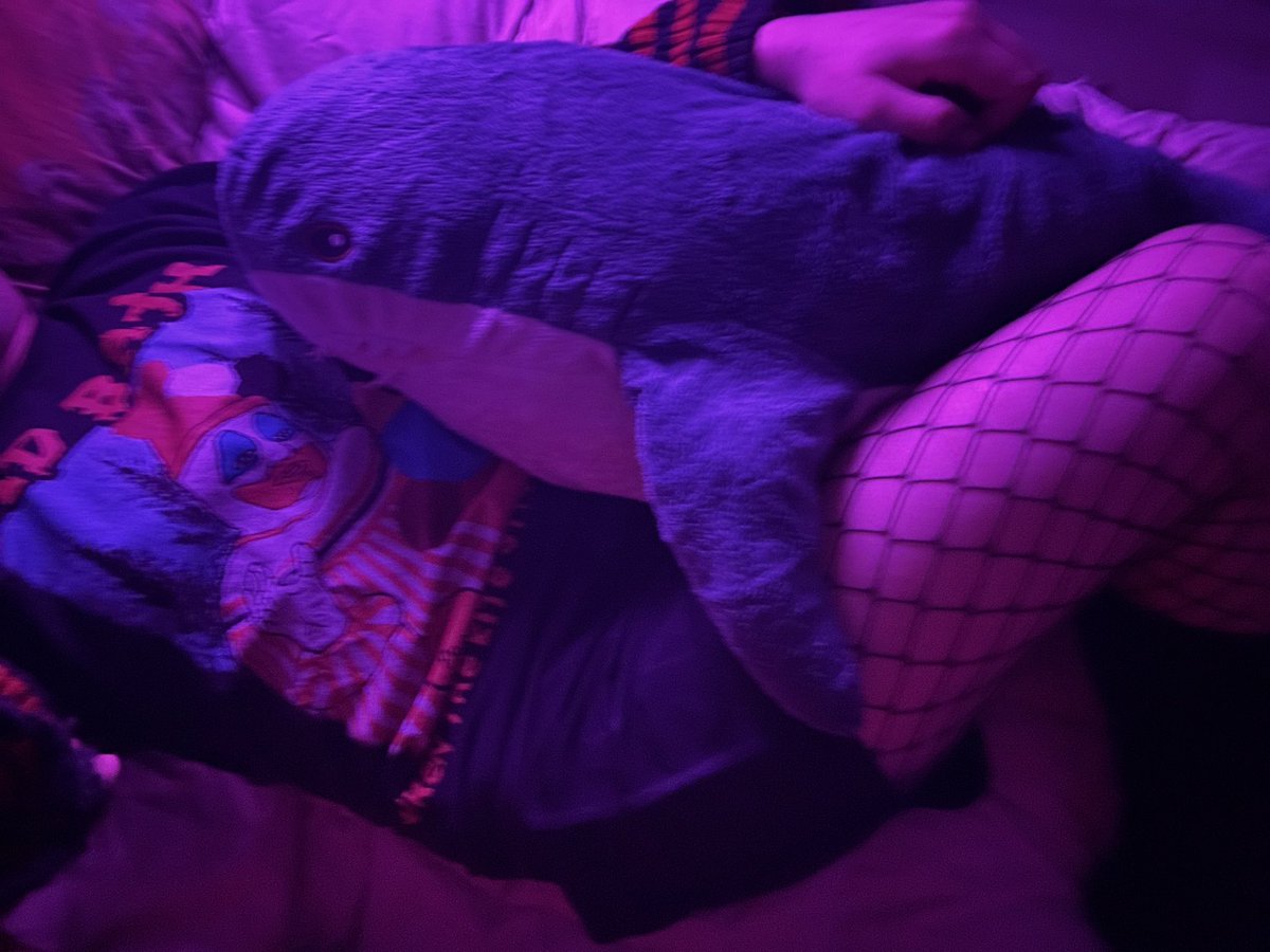 FemboyKaku tweet media