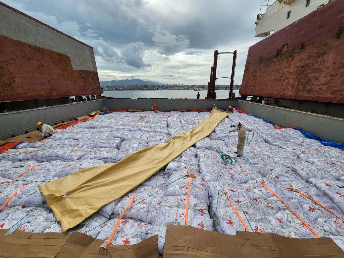 Hua Xin 华昕 tweet media