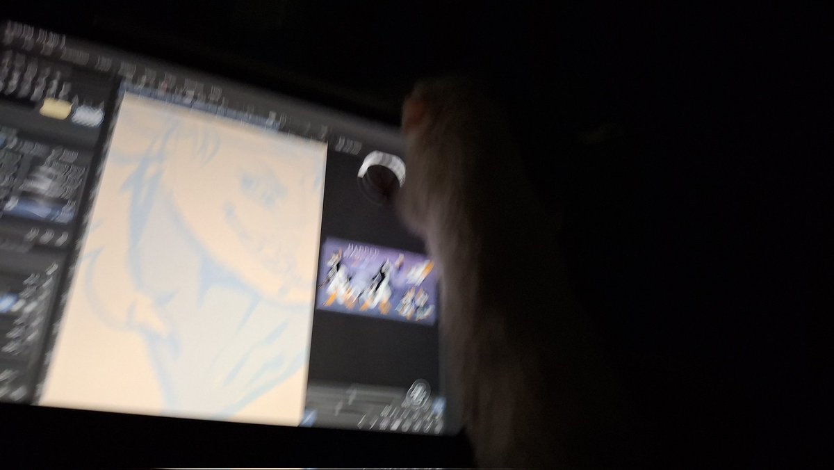 Shindekitty tweet media