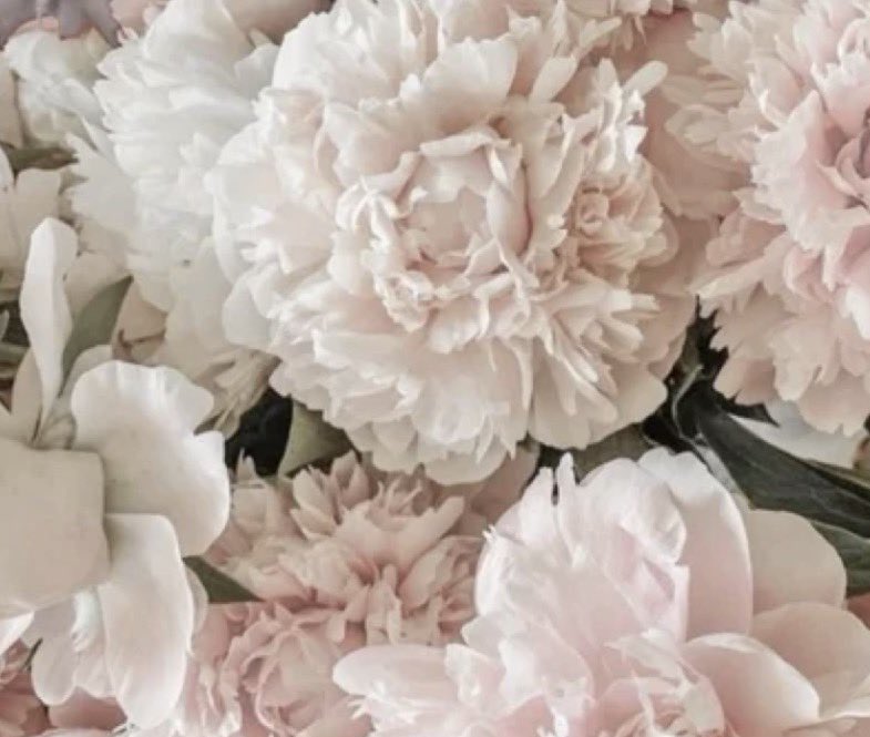 𝑙𝑎𝑛𝑖 🪽 tweet media