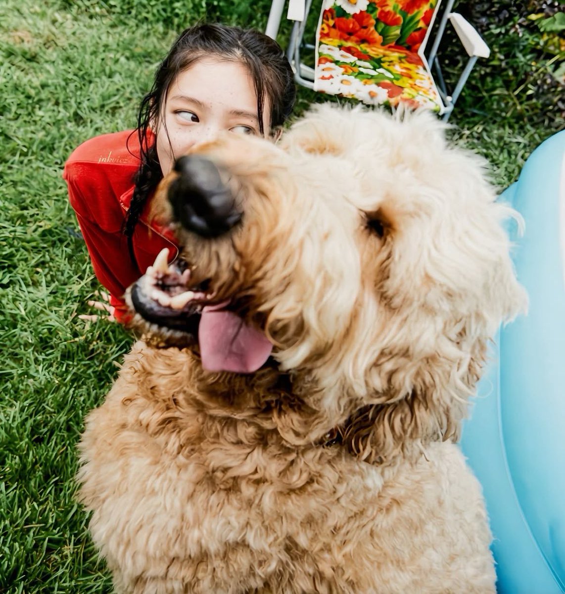 Jentnni's tweet photo. My glorious fluffy shadow, who apparently decided his contribution to the shot was an extremely close-up view of his entire mouth, just absolutely stole the show. https://t.co/NLgZaAv5Qk