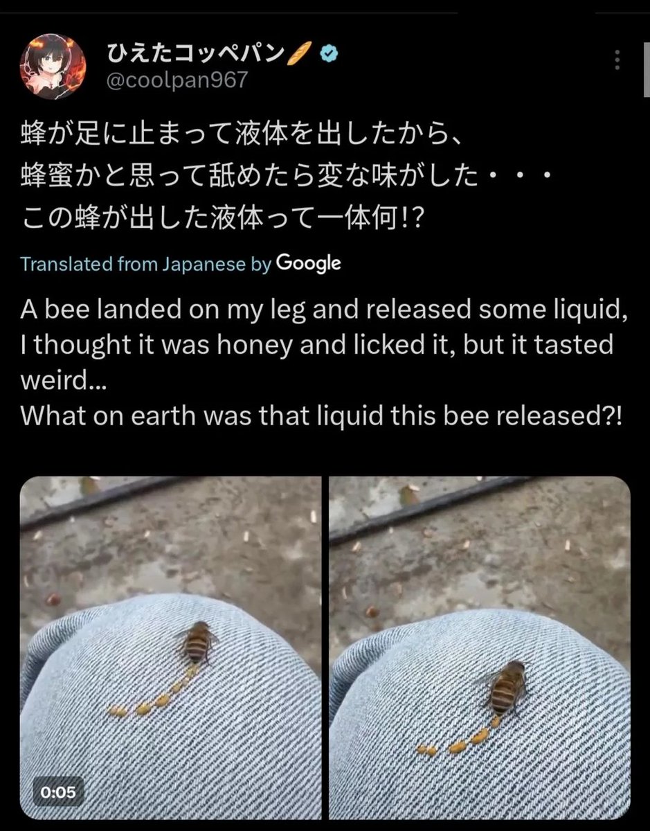 💢 JPT says 何? 💢 tweet media