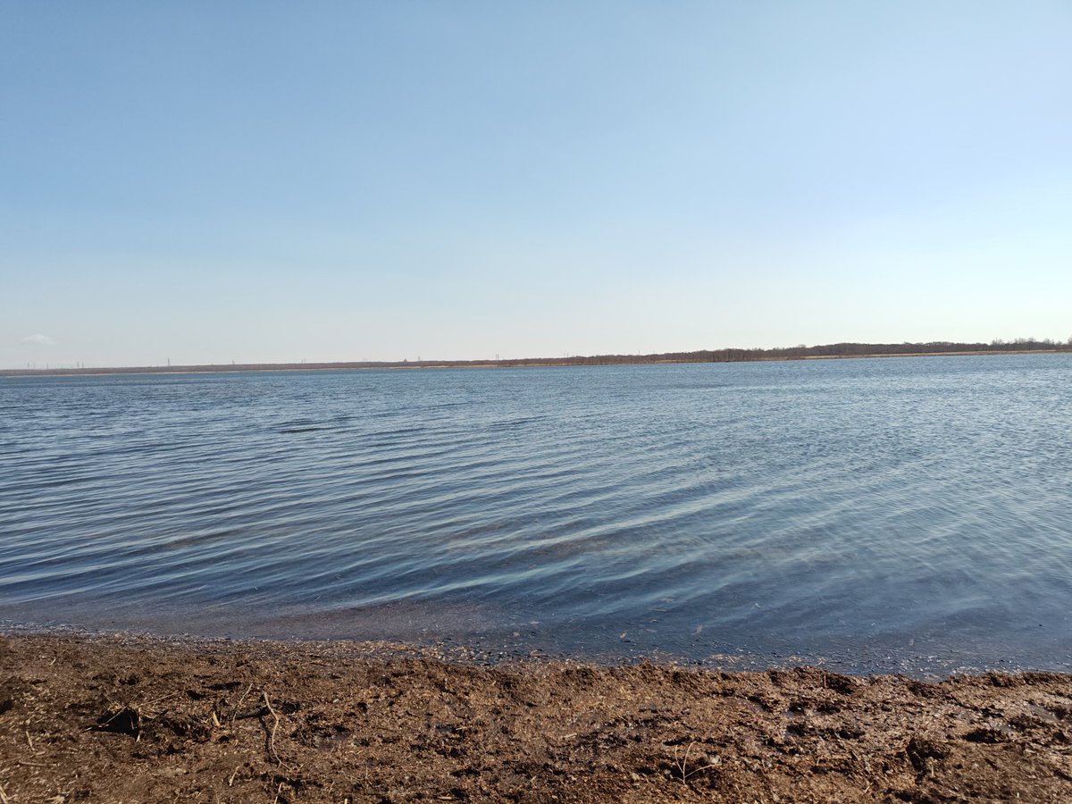 ［萩］🩷全力で佐藤新💕 tweet media