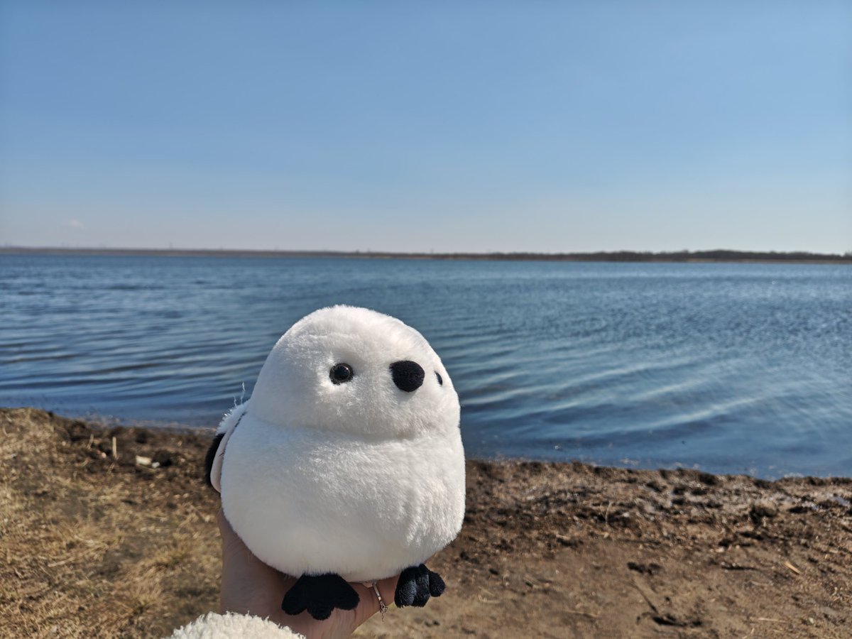 ［萩］🩷全力で佐藤新💕 tweet media