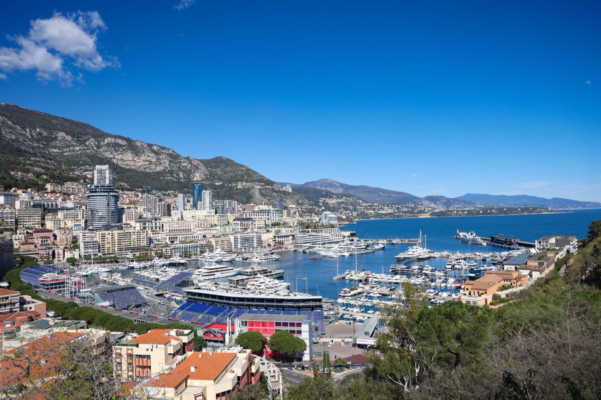 Tim Heil tweet media