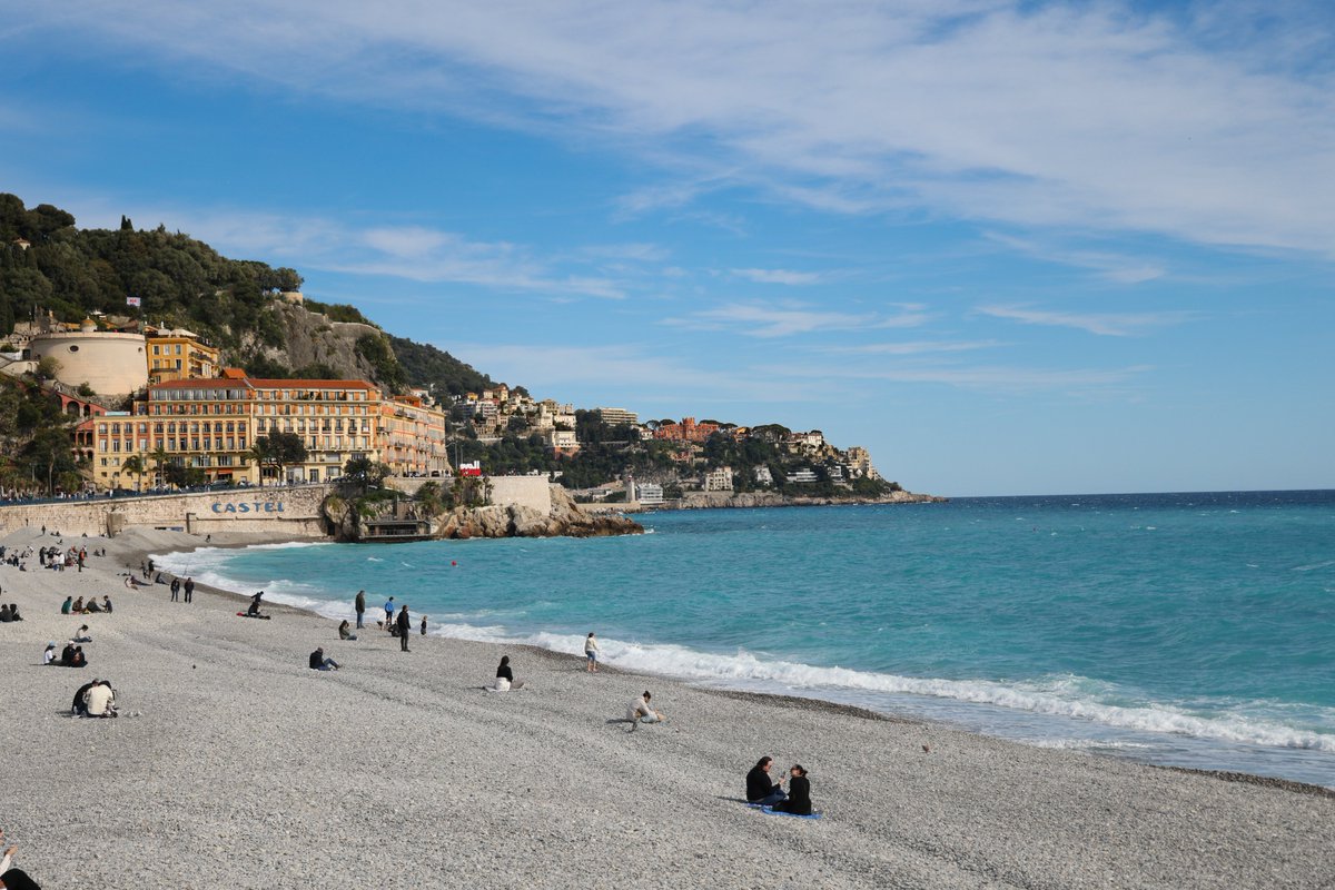 Tim Heil tweet media