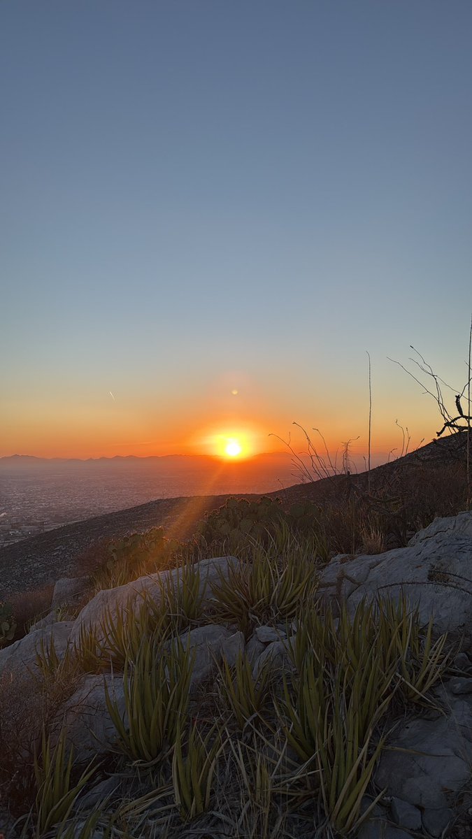 melanie bujanda tweet media