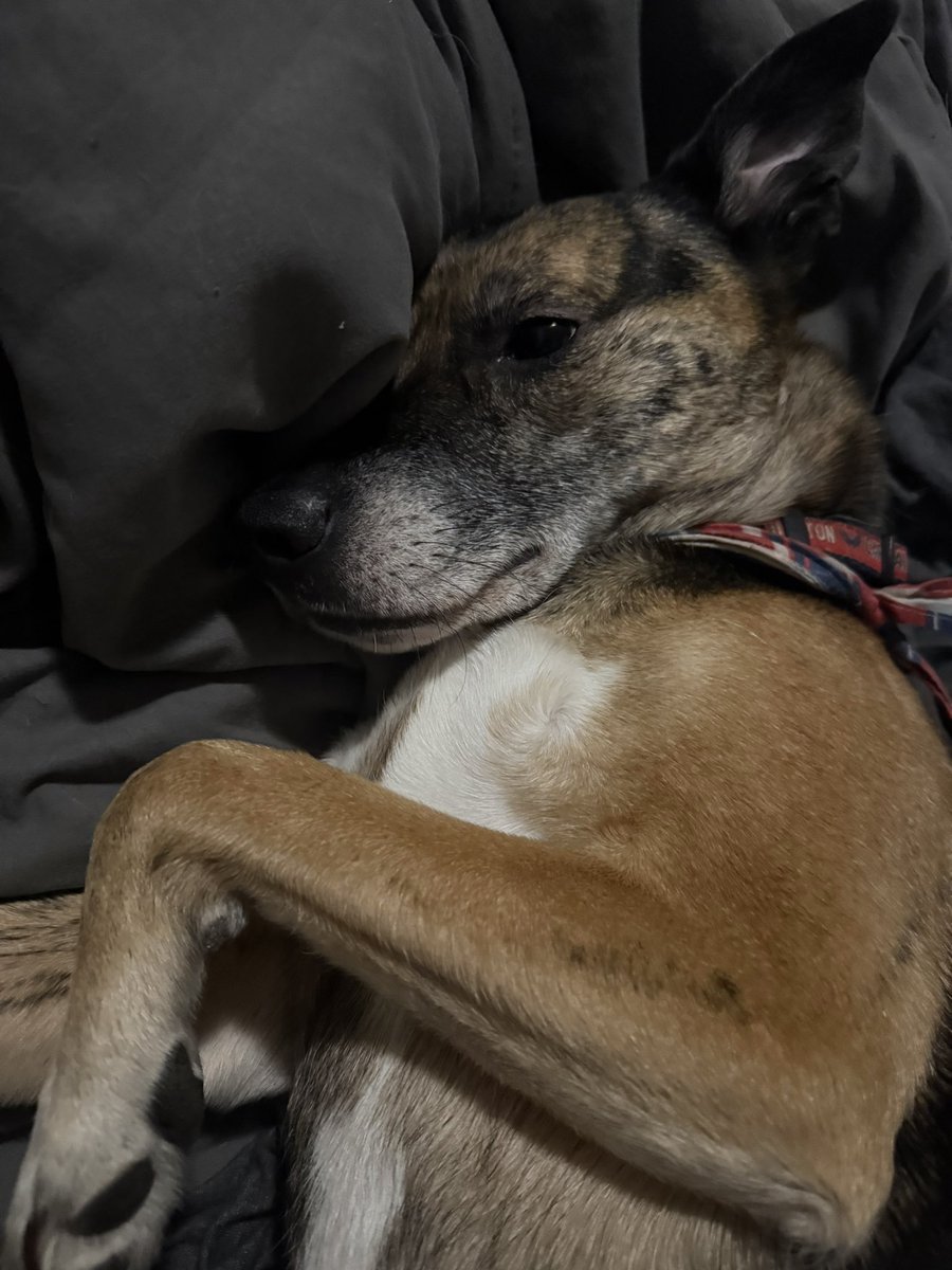 Sammi Silber 🏒 tweet media