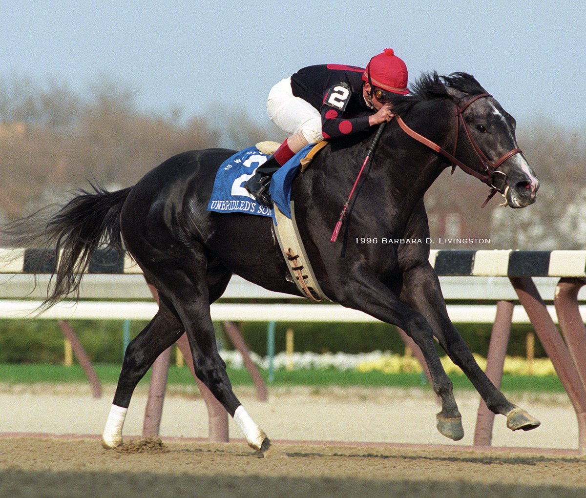 Barbara D. Livingston tweet media