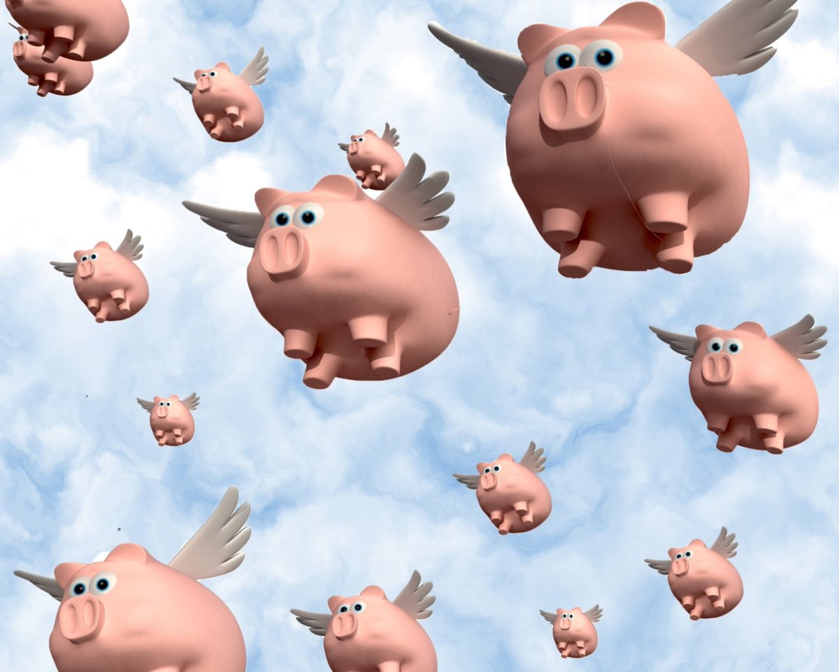 Ellen Brickley tweet media