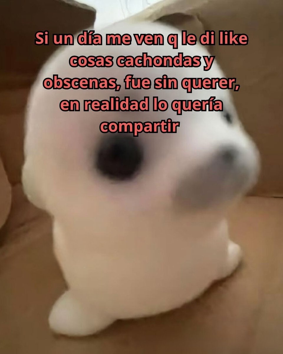 Mundo de Bigotes tweet media