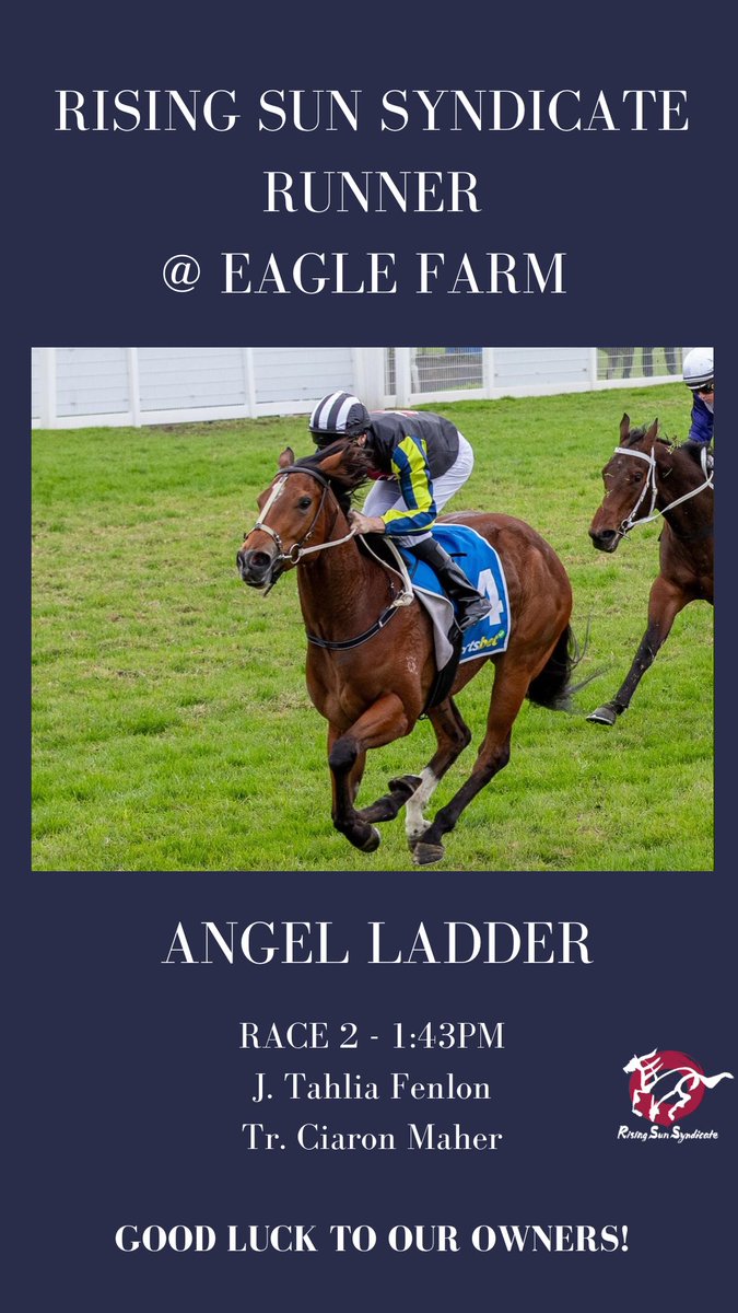 Rising Sun Syndicate🇯🇵 tweet media