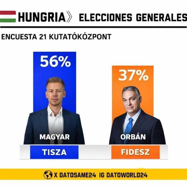 Gosia Hebzie tweet media