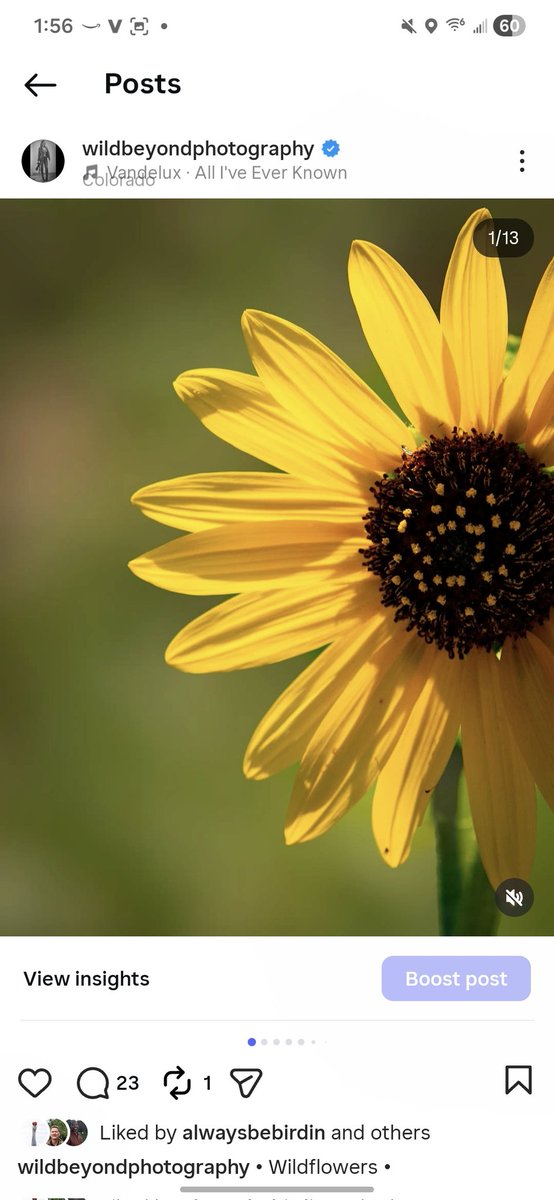 Samantha Ferrone tweet media