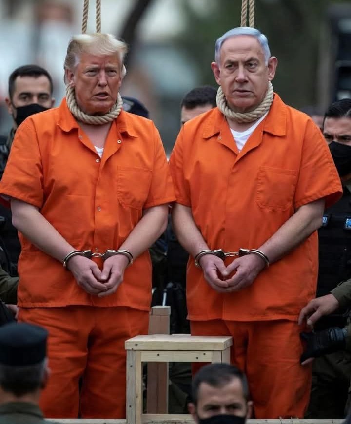 وليد tweet media