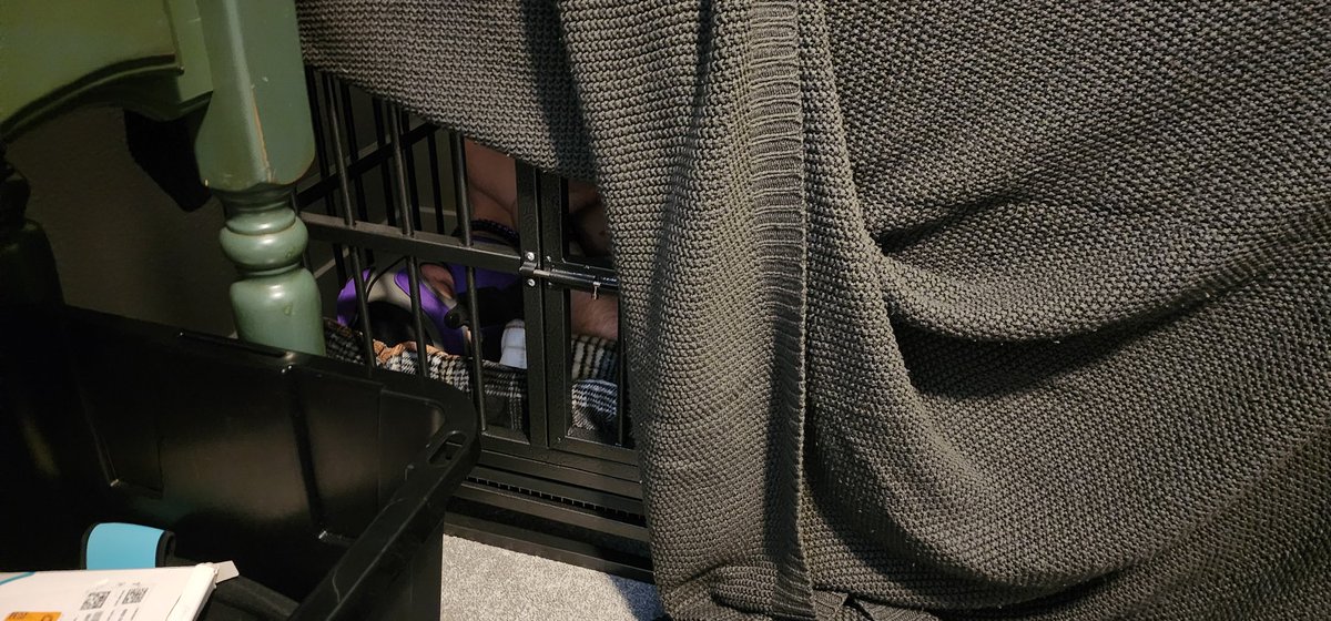 switch pup stich tweet media