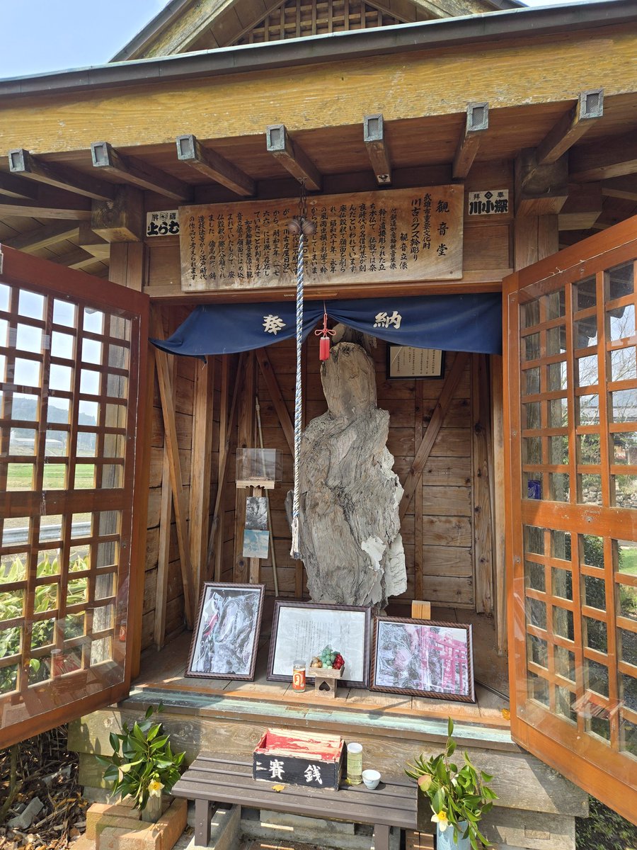 いこ～ tweet media