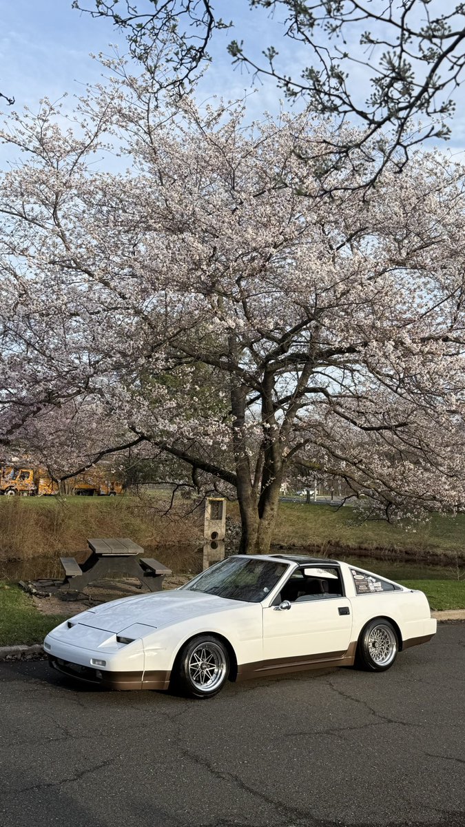 nissanabuser's tweet photo. da cherry https://t.co/GNxyMD2OxZ