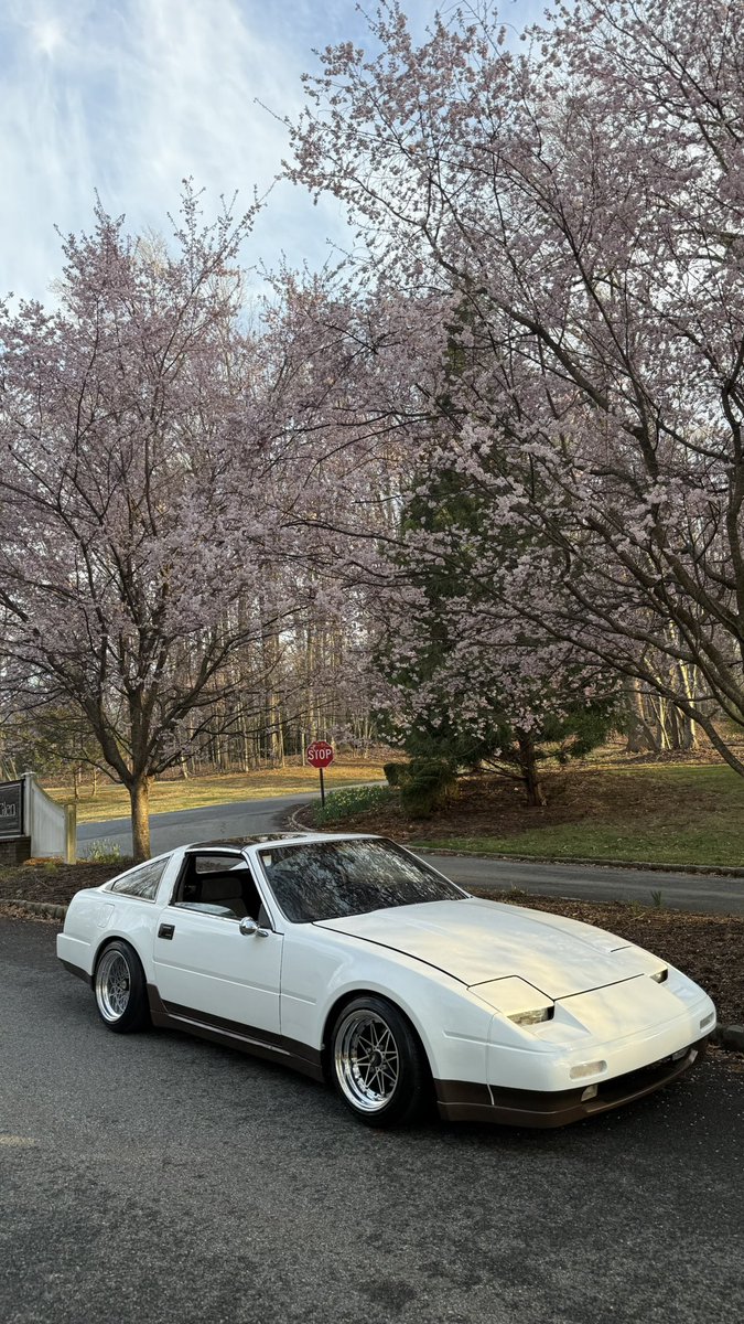 nissanabuser's tweet photo. da cherry https://t.co/GNxyMD2OxZ