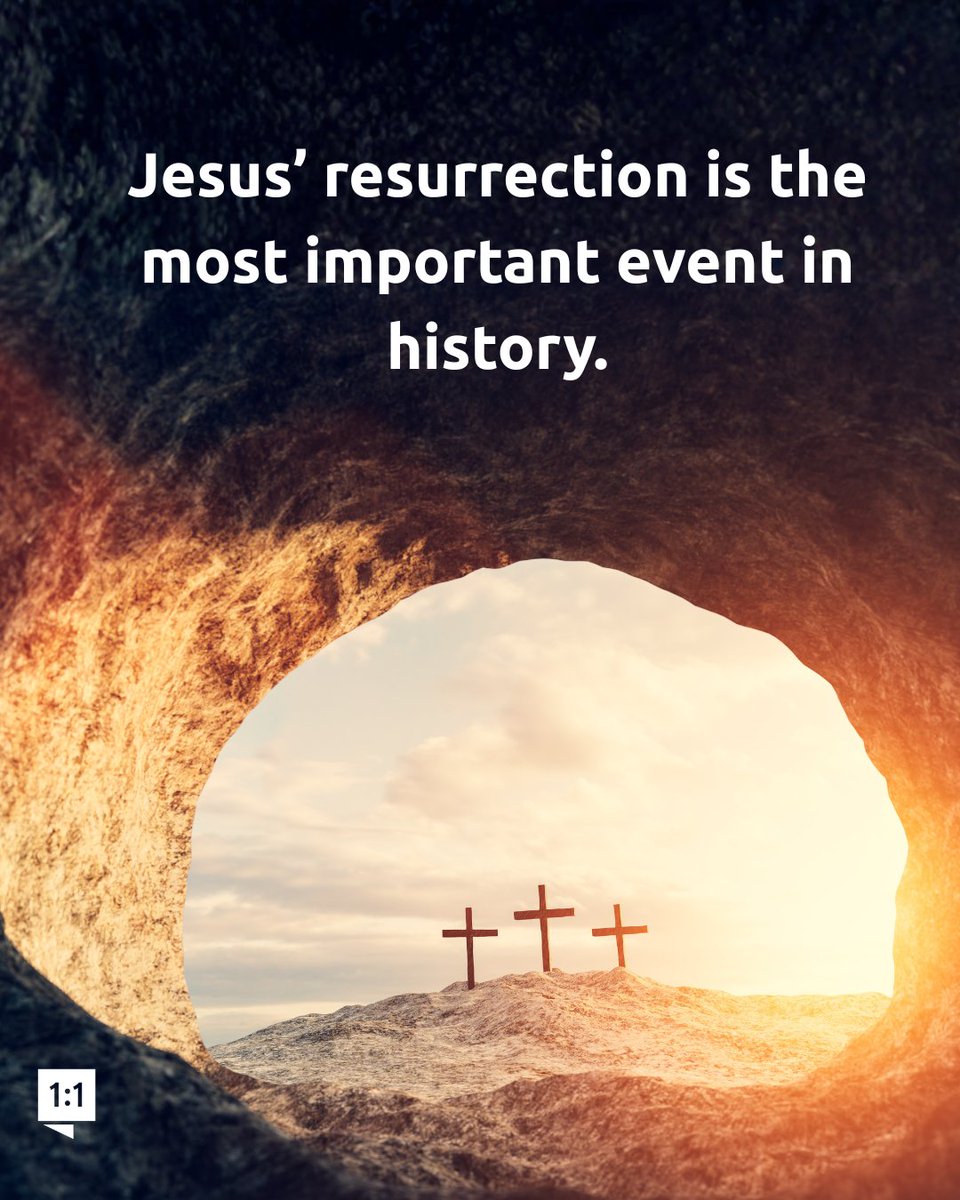 Answers in Genesis tweet media