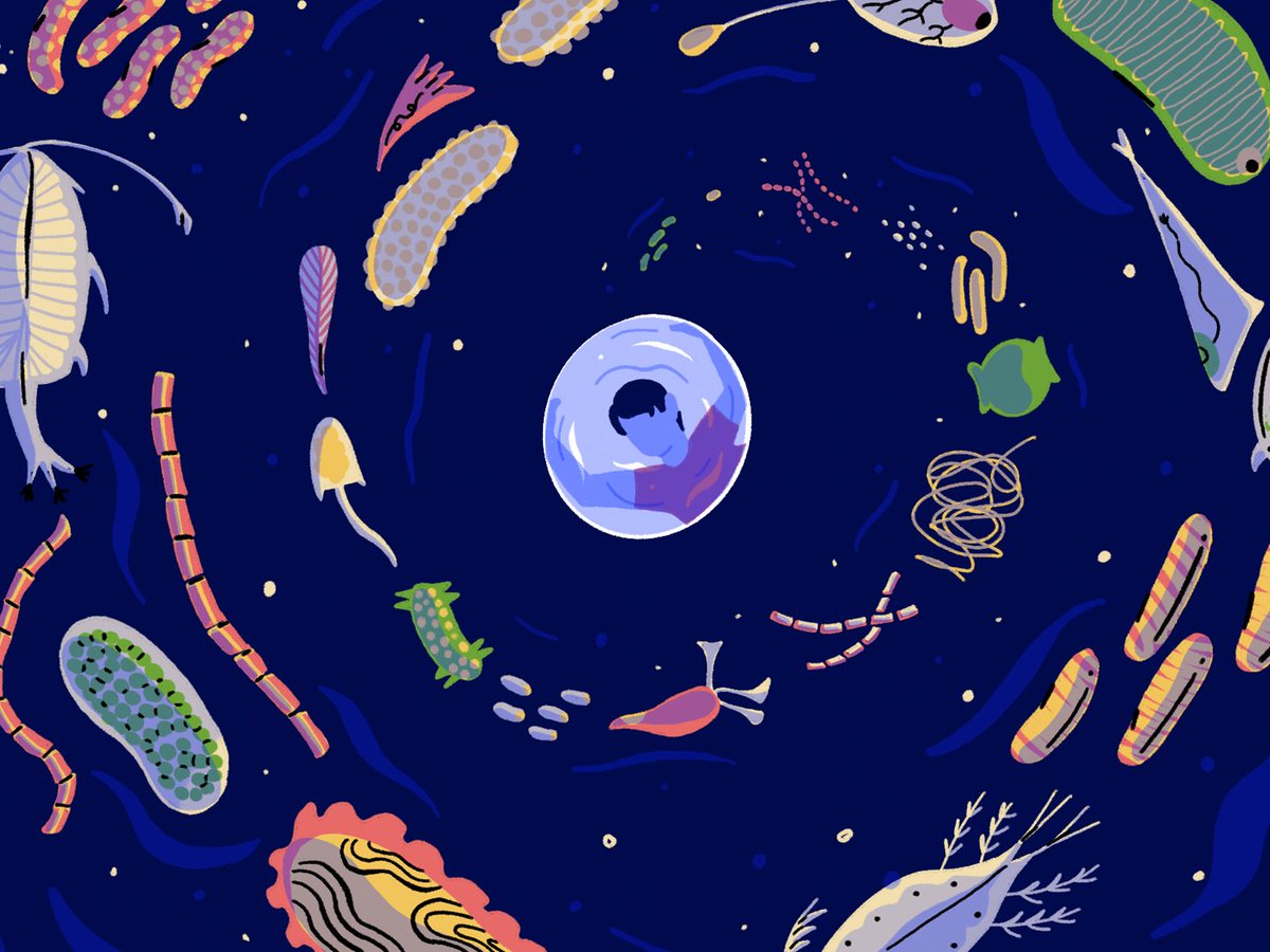 Radiolab tweet media