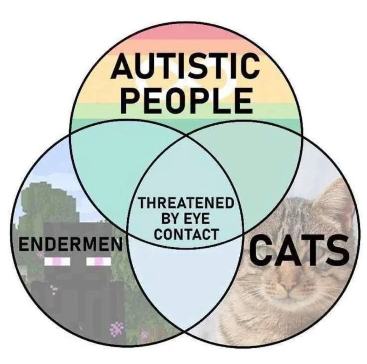 ADHD Memes tweet media