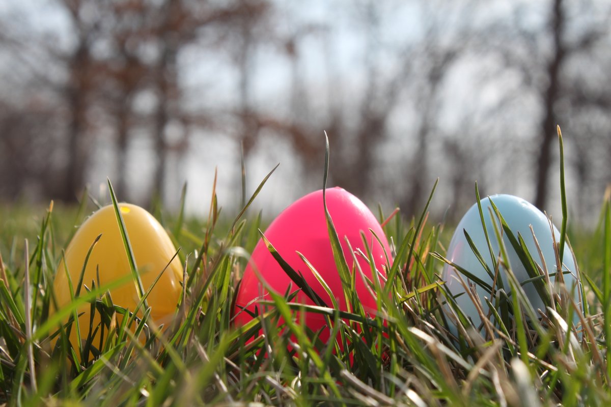 LauritzenGarden's tweet image. Who’s egg-cited for our Spring EGGstravaganza? 🐣 Starting tomorrow April 4, from 9 a.m. to noon we’ll have seasonal activities setup around the garden. Come hunt for eggs, enjoy springtime crafts, meet the Easter Bunny and more!

Included with garden admission, free for members.