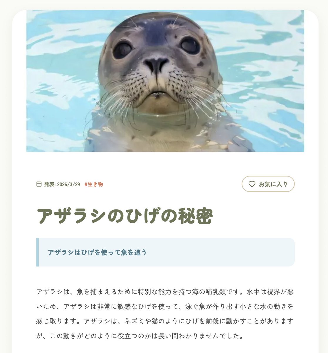 【公式】Solomaker@個人開発で稼ぐ知見が集まるサイト tweet media