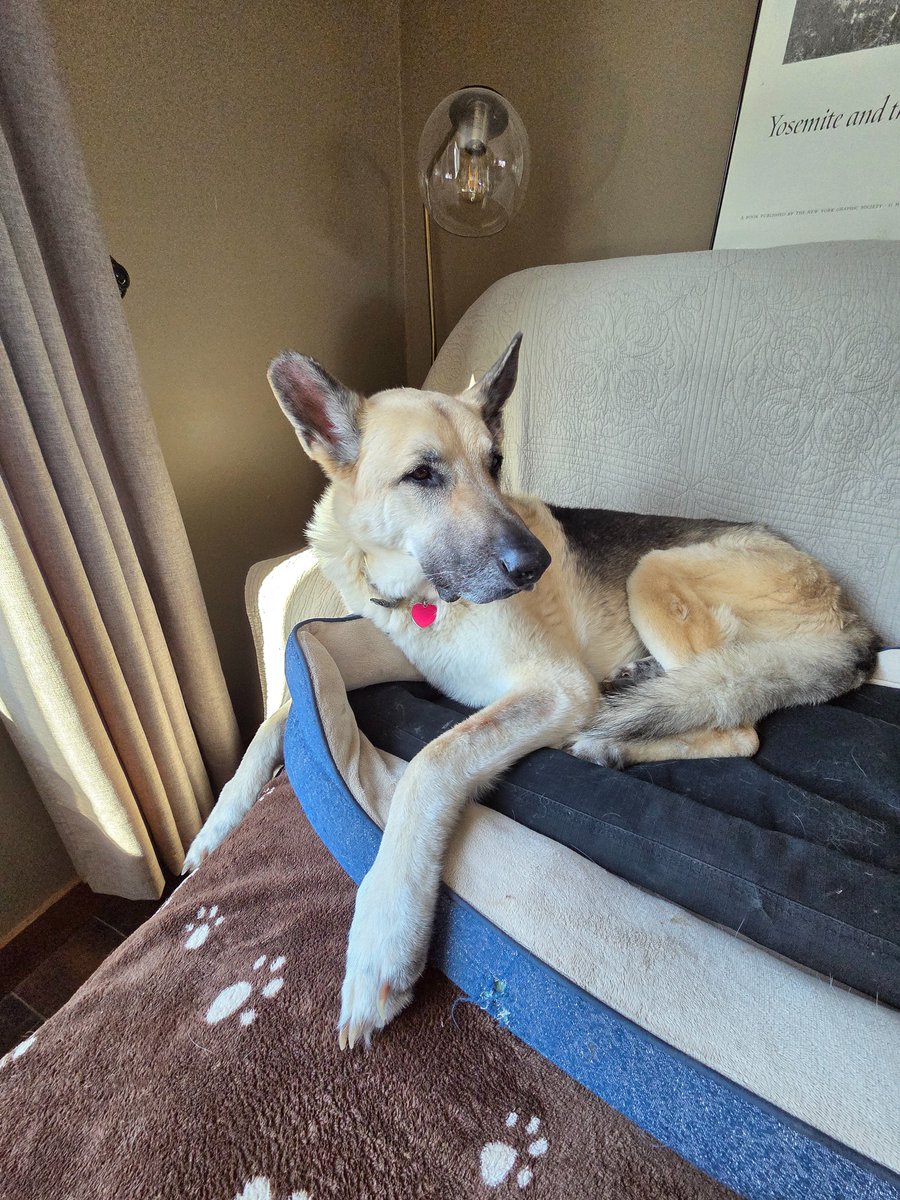 The Only James Magelk tweet media