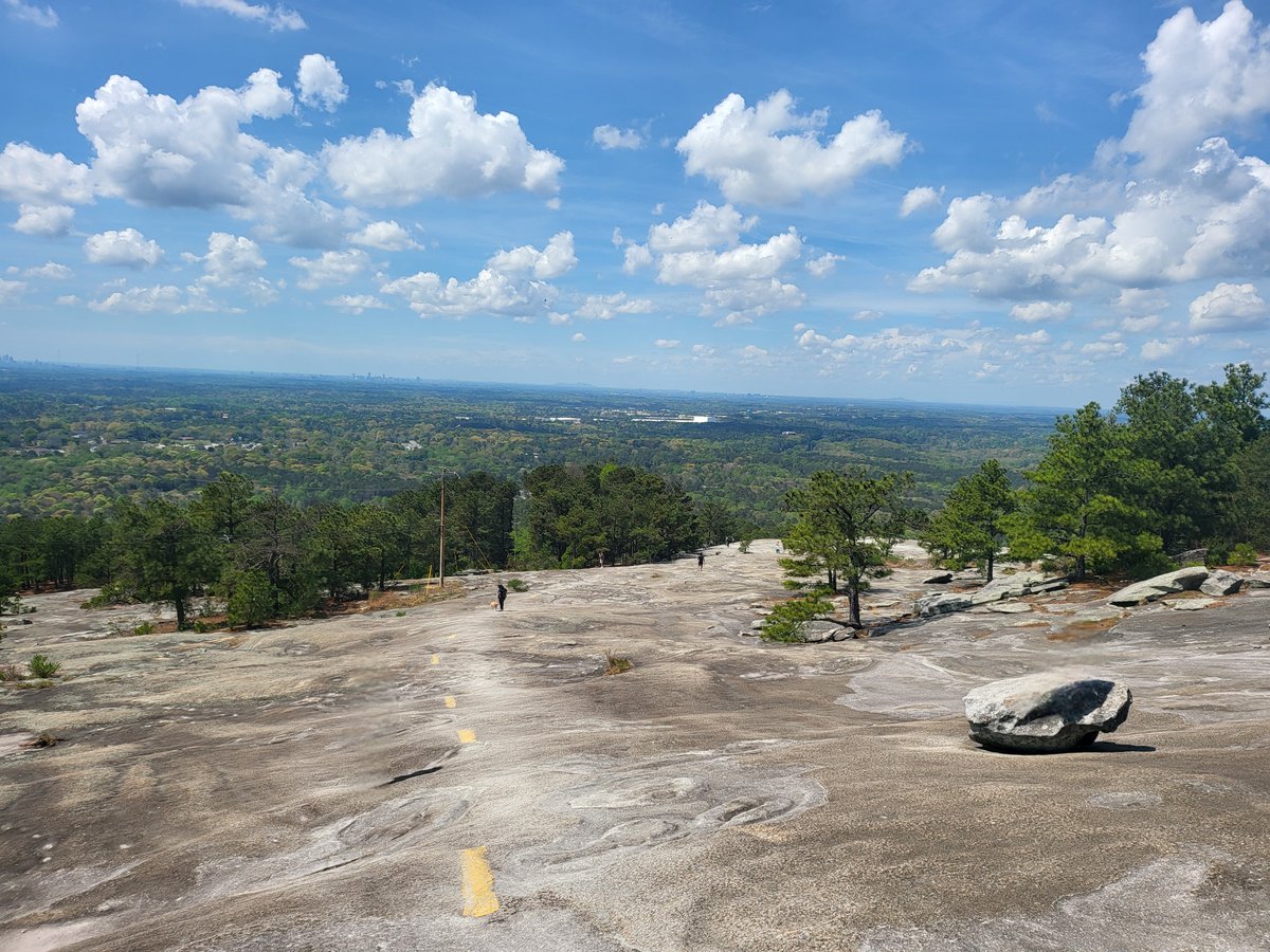 Apewhale 🍌 tweet media