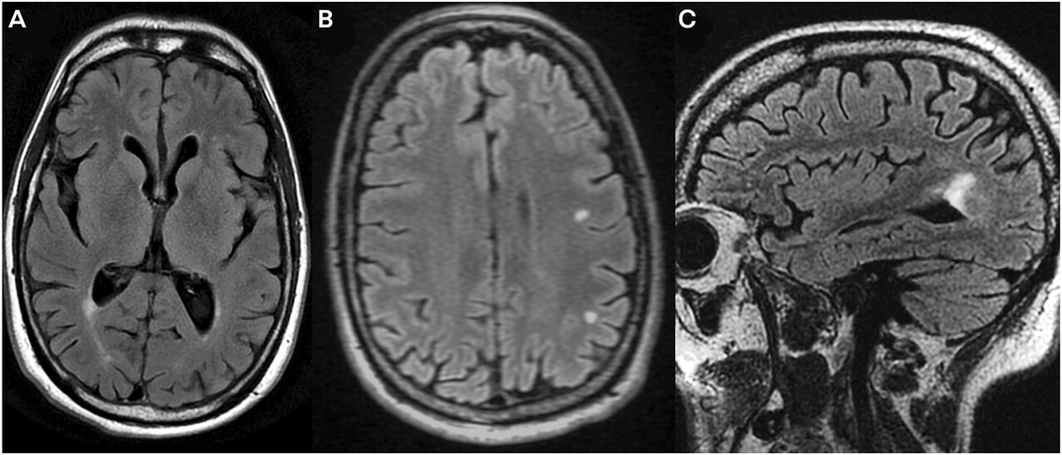 Dr. Brandon Beaber tweet media