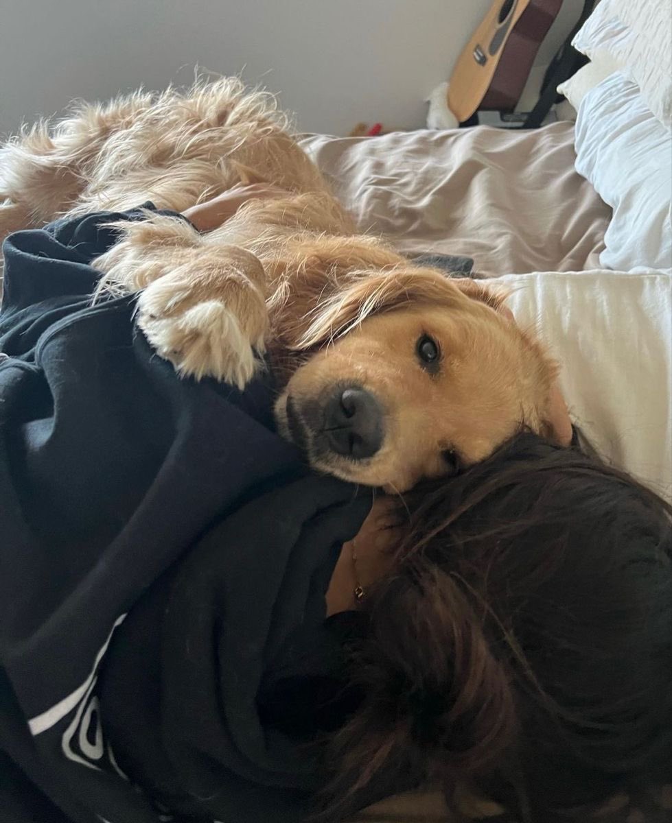 ‍‍ ‍‍ 𓂃 𝑯𝑨𝑾𝑲𝑮𝑼𝒀.·ˇ tweet media